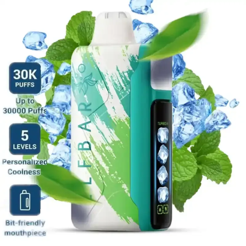 ElfBar Ice King 30000 - Miami Mint