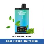 WGA Crystal 20000 Puffs 2in1 vape - Fresh Mint - Double Menthol